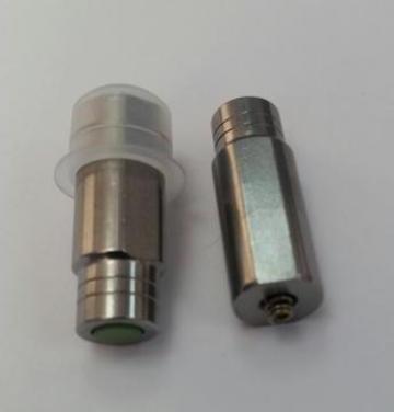 Nucleu solubile