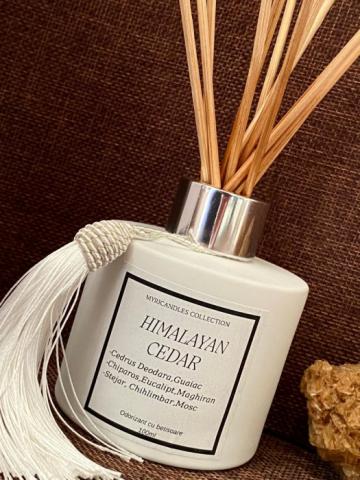 Odorizant camera - aroma lemnoasa fresh - Himalayan Cedar