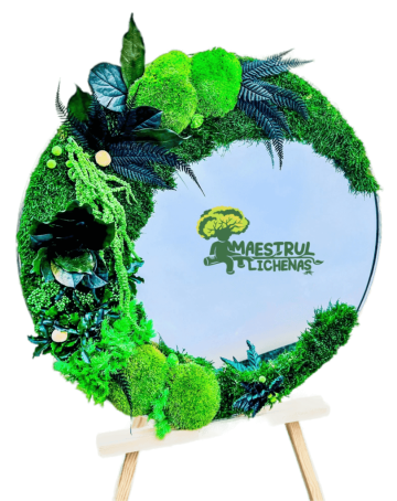 Oglinda cu rama argintie decorata cu muschi naturali