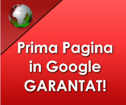 Optimizare site web Prima pagina in Google