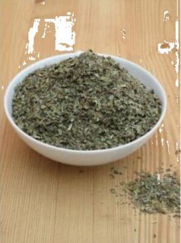 Oregano uscat