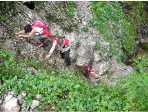 Organizare evenimente Team Adventure