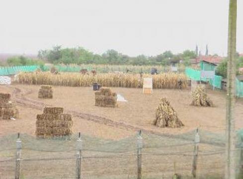 Paintball Timisoara