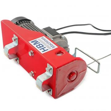 Palan electric 600kg