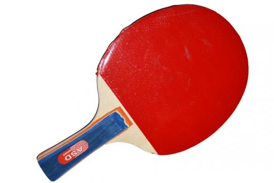 Paleta pentru ping-pong cu husa