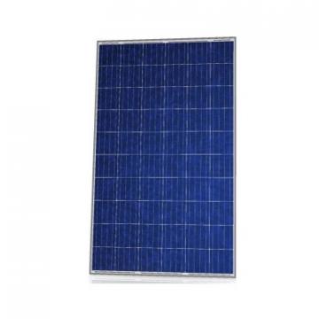 Panou solar fotovoltaic Canadian Solar CS6K-275P - 275 W