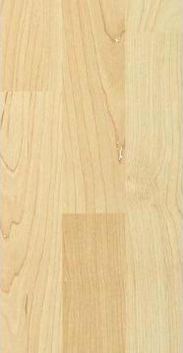 Parchet Laminat, Uz Casnic