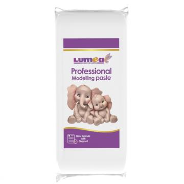 Pasta modelaj alb Profesional, 1kg - Lumea