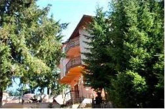 Pensiune S + P + E + M + Pod, Muntele Baisorii