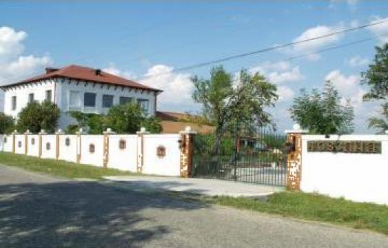 Pensiune rustica Ranca