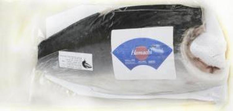 Peste File yellowtail kingfish (hamachi) congelat