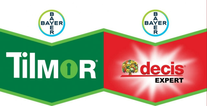 Pesticide Rapita Tilmor 240EC(10L) + Decis Expert(1L)