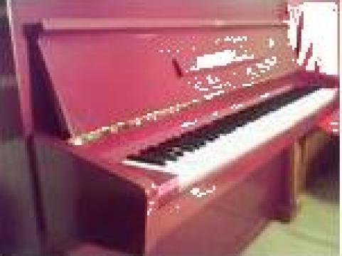 Piane si pianine: pianine Doina