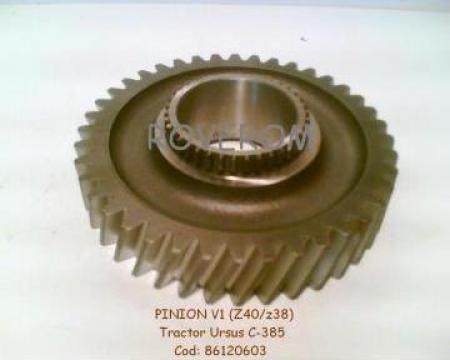 Pinion V1 (Z40/z38) cutie viteze tractor Ursus C385