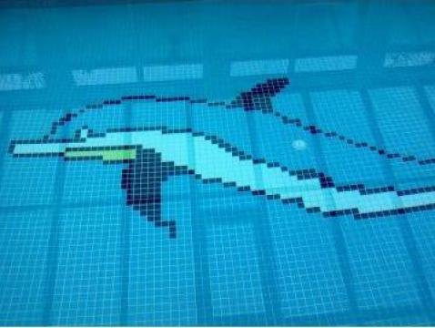 Piscine, Saune, Spa-uri, Echipamente si accesorii piscine