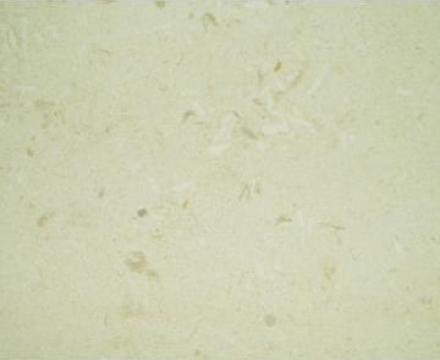 Placi marmura Limestone, Vistea
