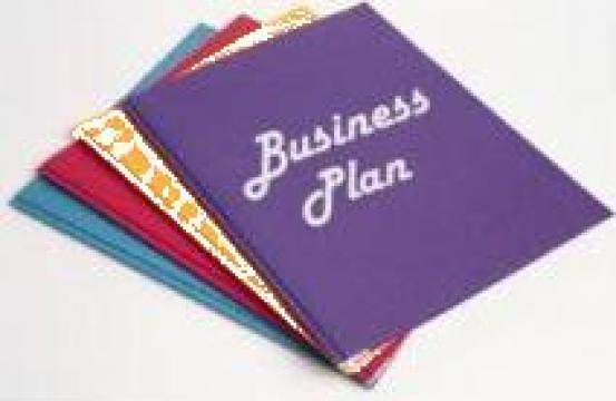 Plan de Afacere