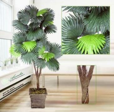Planta artificiala copac 180 cm Fan Palm x3 Silk Plant