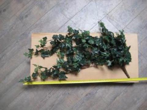 Plante artificiale hedera