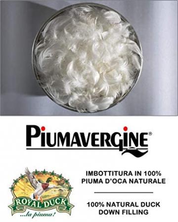 Plapuma pene naturale