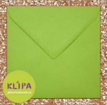 Plic colorat verde crud