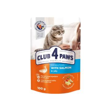Plic hrana umeda pisica Somon in Jelly 100g - Club 4 Paws