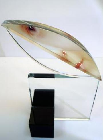 Portret - cristal optic cu imagine inserata