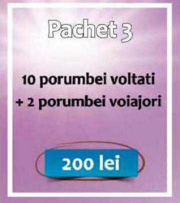 Porumbei albi nunta P2