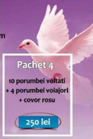 Porumbei albi nunta P3