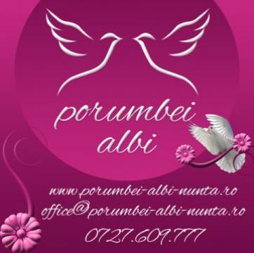 Porumbei albi nunta