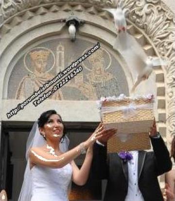 Porumbei albi pentru nunta Constanta
