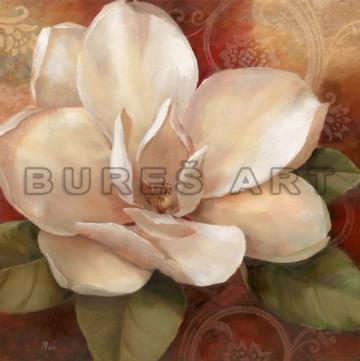 Poster floral Trandafir alb diafan