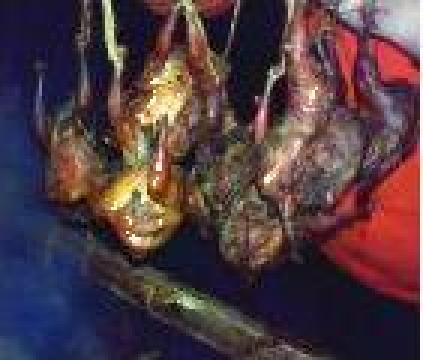 Prepelite afumate traditional cu rumegus de esenta tare