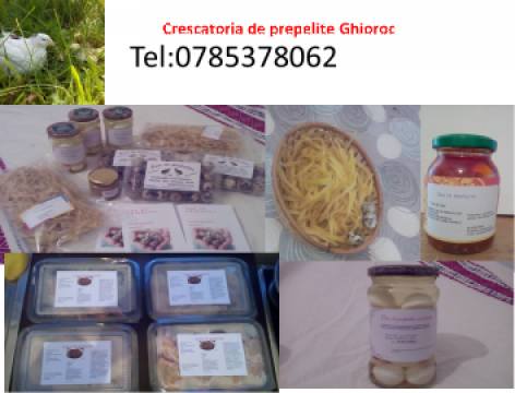 Prepelite ouatoare