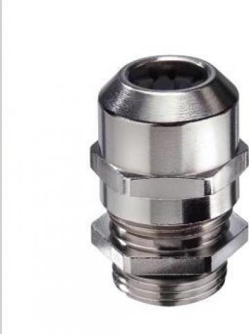 Presetupa SPRINT NPT