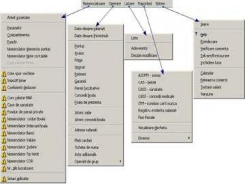 Program software salarii VertiSal Profesional