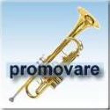 Promovare online