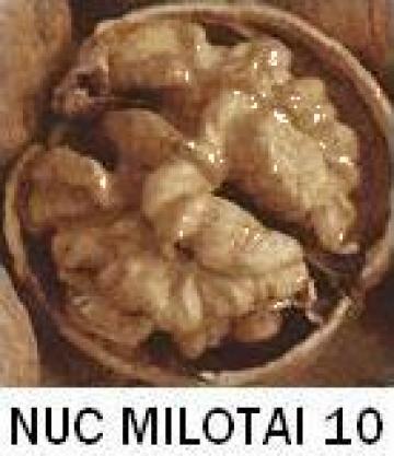 Puiet nuc Milotai 10