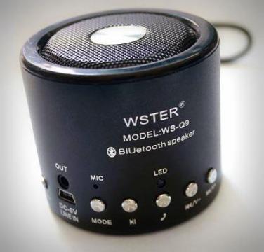 Radio Wster WS-Q9