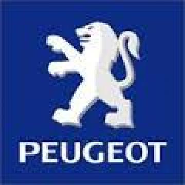 Reconditionari casete directie Peugeot 206