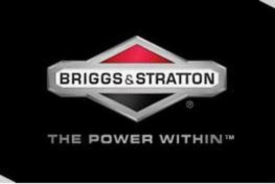 Reparatie, service motoare Briggs&Stratton