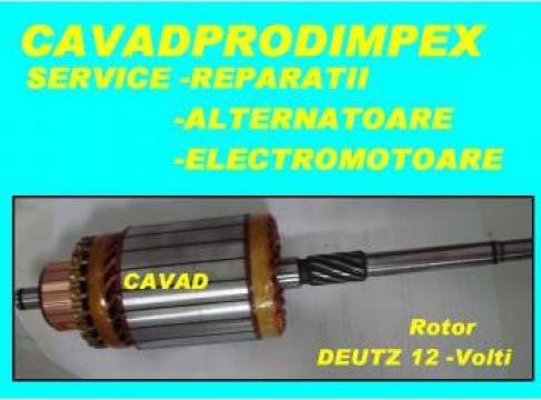 Reparatii electromotor Hatz -2L30S Haulota