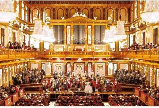 Sejur, Concert de Craciun la Viena