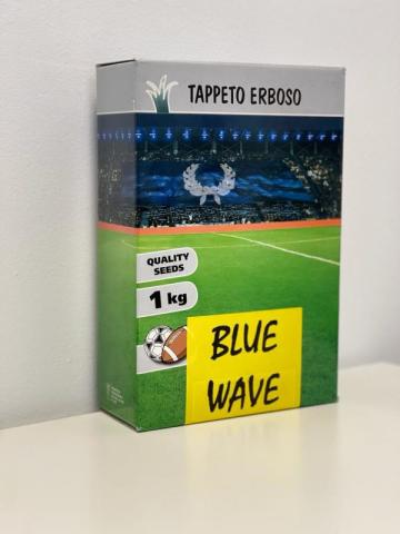 Seminte de gazon Blue Wave, 1 kg, Tappeto