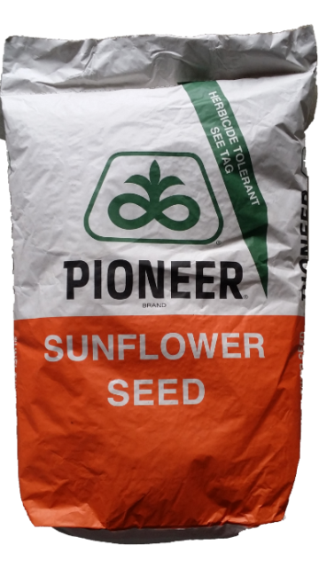 Seminte floarea soarelui Pioneer P64LE99 sac 150.000 boabe