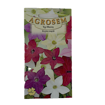 Seminte flori Regina Noptii Mix 0,15gr, Agrosem