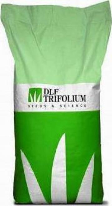 Seminte gazon Dlf Trifolium Sun Universal