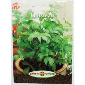 Seminte leustean