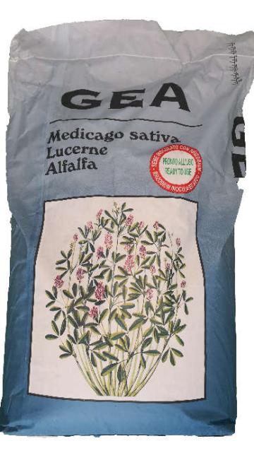 Seminte lucerna GEA+ 25kg, C1, Drajata - seminte certificate