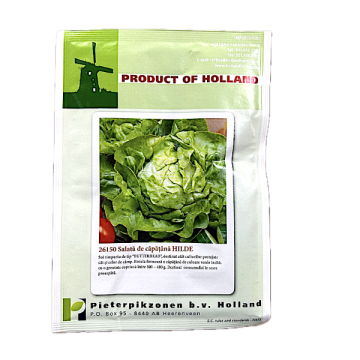 Seminte salata de capatana Hilde 10 gr, Holland